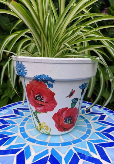 Poppy Flowers Personalised Plant Pot