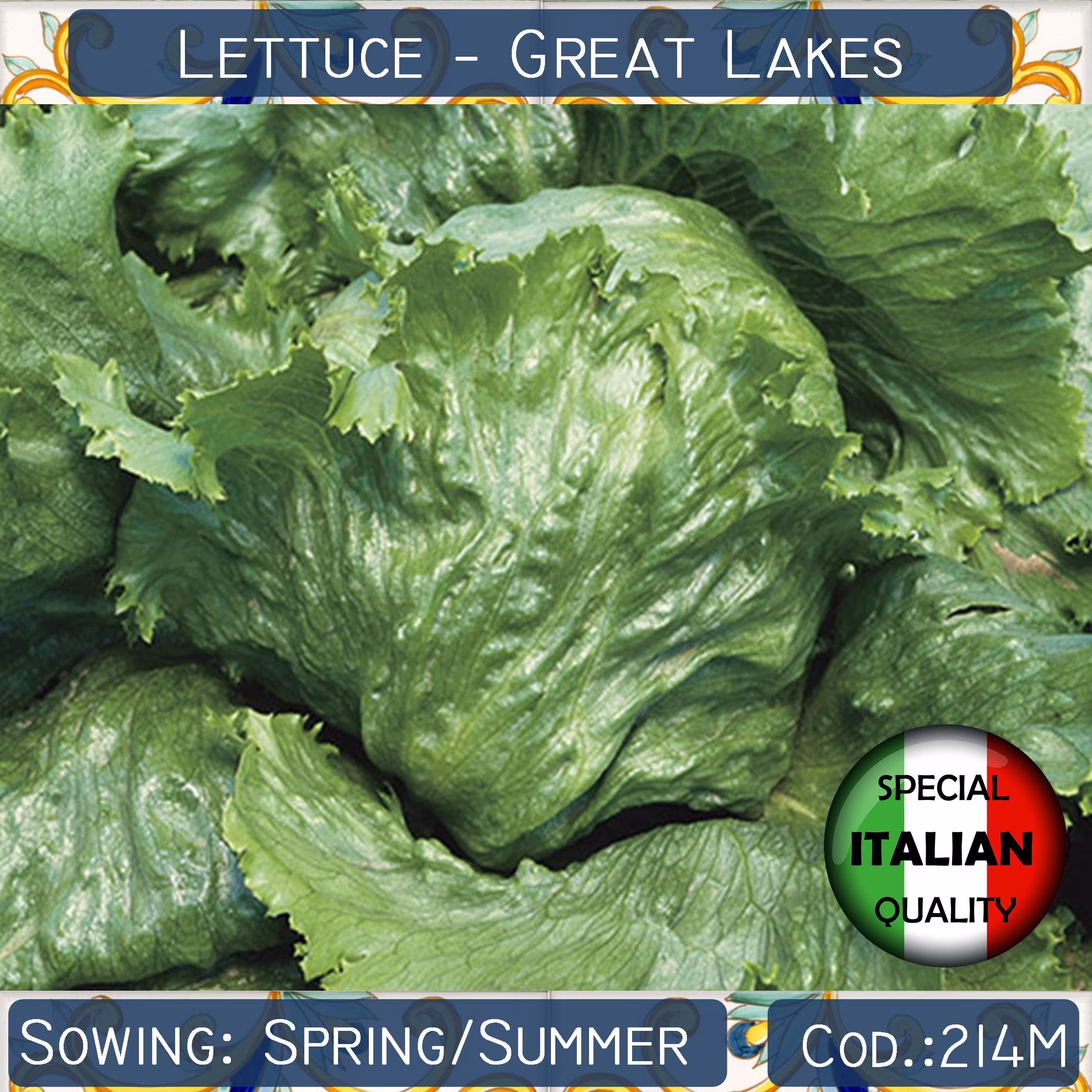 300+ Lettuce Great Lakes Seeds, Italian Vegetable Non Gmo #214M