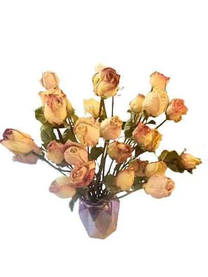Dried Roses, Pink Rose Stems, Flowers