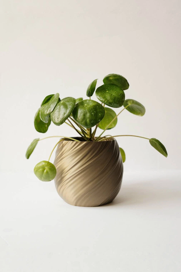 Eco Friendly Indoor Planter | Silk Wave 3D Printed Pot Decorative Vase Zen Garden Inspired