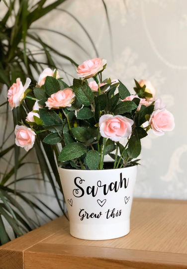 Personalised Plant Pot ~ Children's Gift Friend I Grew This Any Name