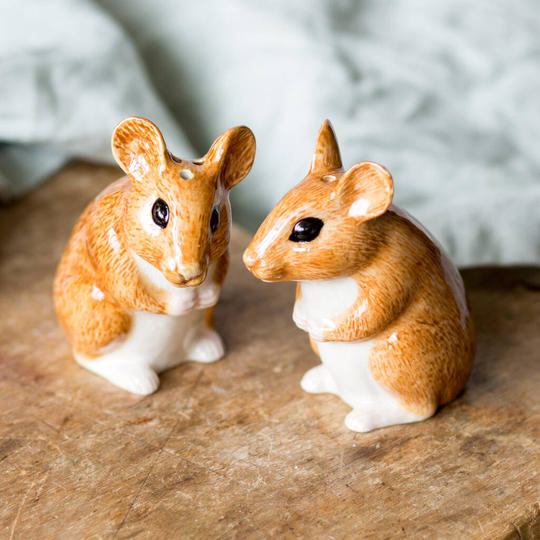 Field Mice Salt And Pepper Pots
