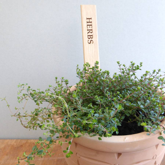 Large Personalised Wooden Herb Plant Labels