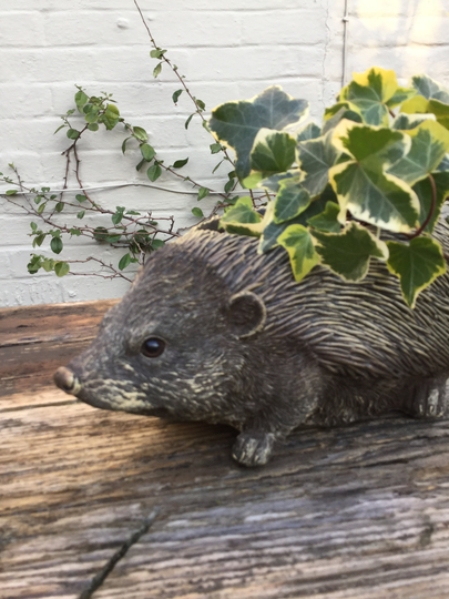 Beautiful Hedgehog Planter Detailed & Realistic.a Springtime Must De