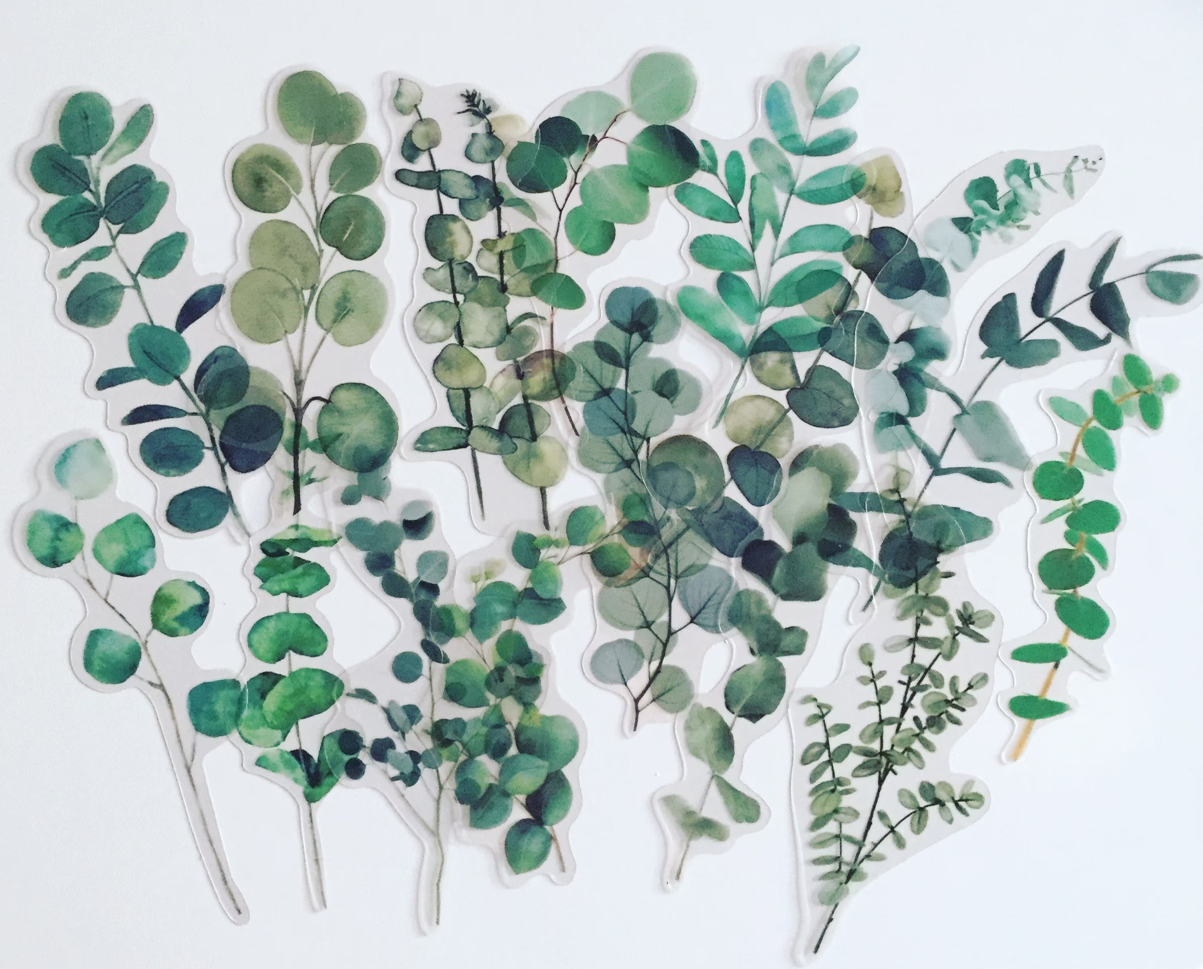 Eucalyptus Branch Stickers, Greenery Planner Leaves Foliage Botanical Scrapbook/Crafting Stickers