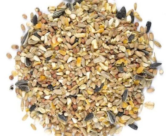 Wild Birds Seed | Bird Wild Mix Feed