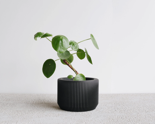 Black Wood Indoor Planter - Praha Perfect Gift For Plant Lovers