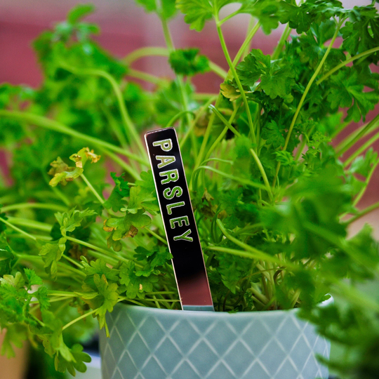 Plant Marker Mirror Acrylic, Herb Garden Stake, Labels, Vegetable Markers, Summer Garden, Staycation, Party Decoration