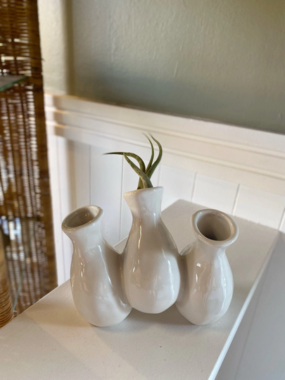 Ceramic Leaning 3 Vase Propagation Station