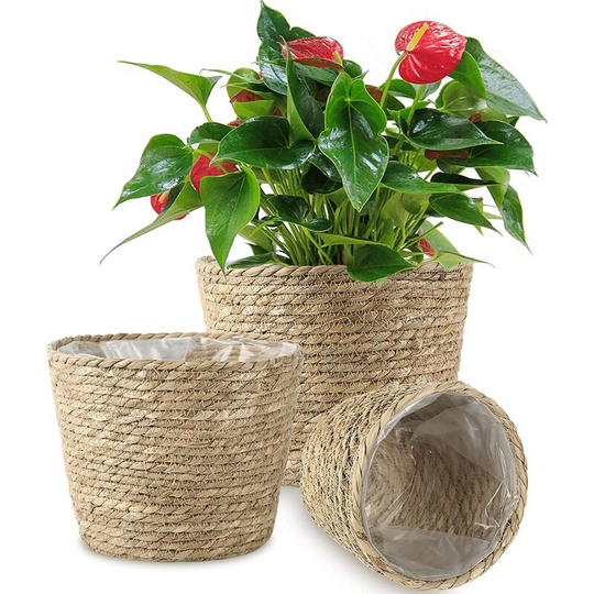 Thsinde - Plant basket 3-piece seagrass basket Hand-woven flower basket with waterproof plastic lining plant pot container lid storage storage basket