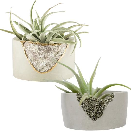 Crystal Mini Planter, Succulents, Air Plants, Candle Holder, Free Shipping