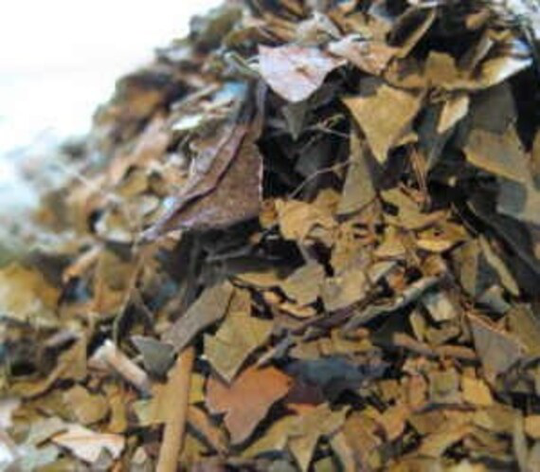 Gymnema Leaf - Sylvestre 100 Grams