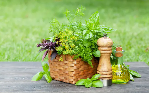 GROWING YOUR OWN HERBS