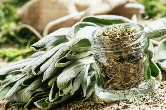 Health And Herbs - Your A-Z Of Beneficial Herb