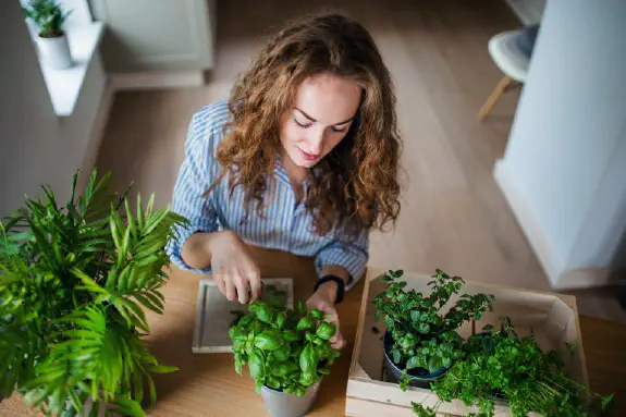 Growing Your Own Herbs - A Worthwhile Alternative