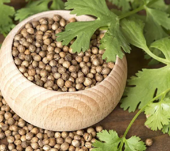 Unlocking the Power of African Herbs for Hair Growth